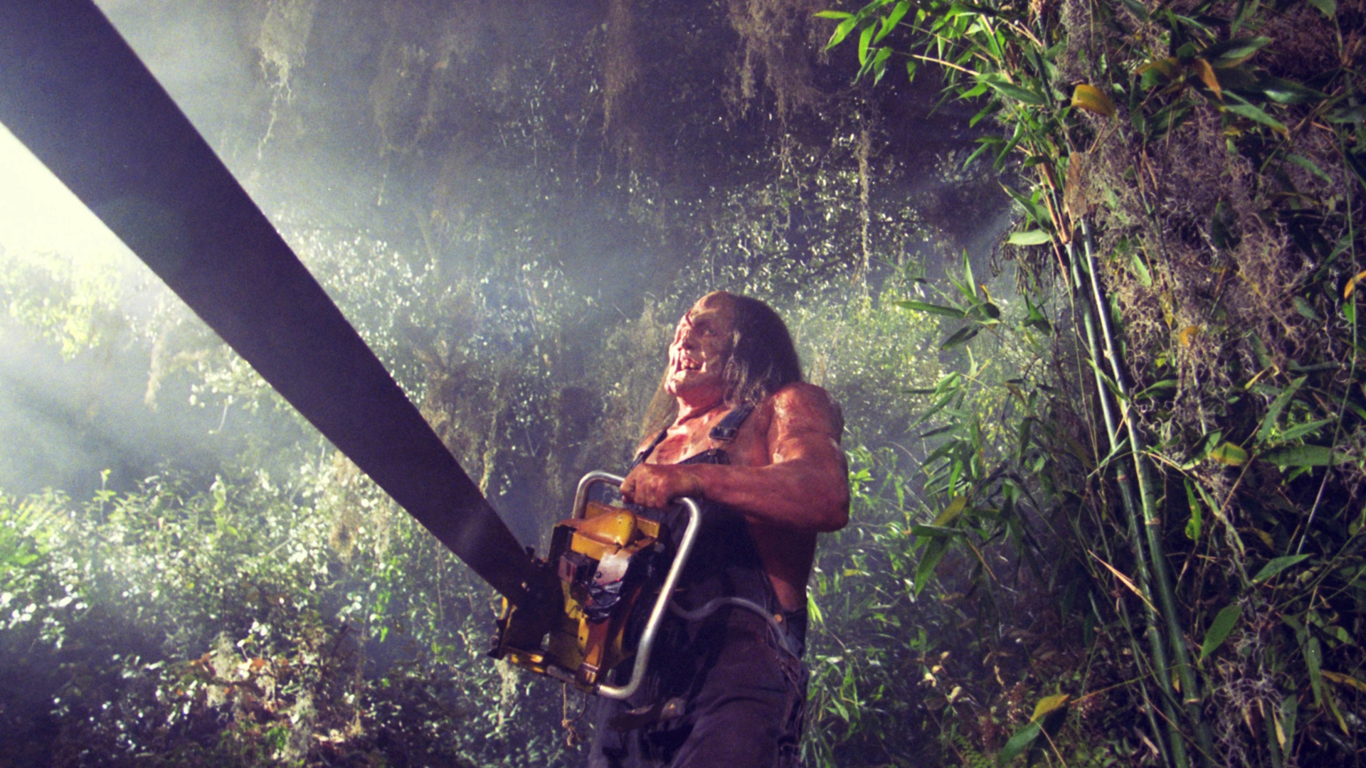 Imagen intermedia en el contenido